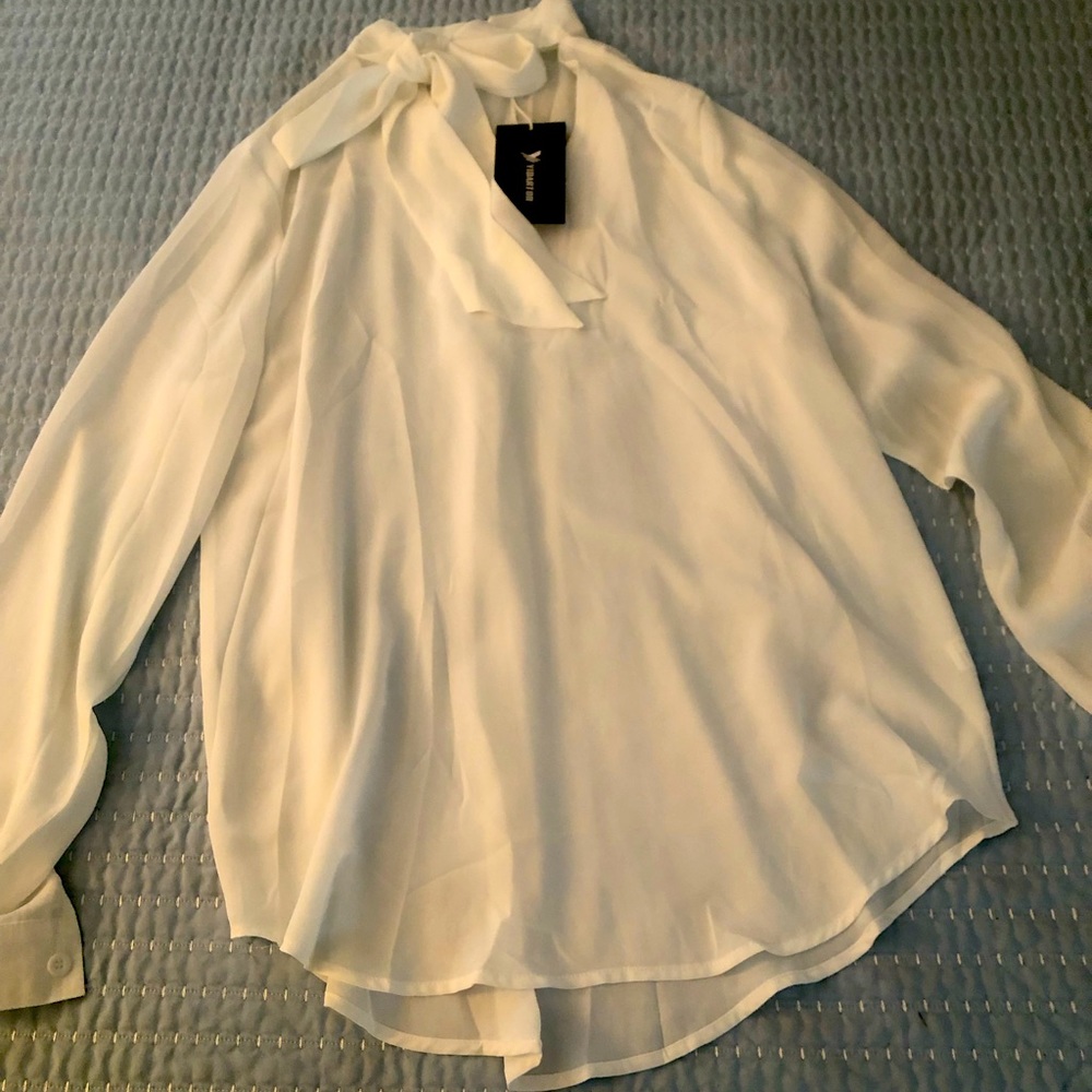 Sheer work blouse